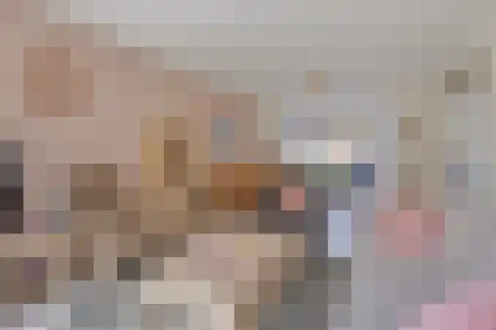Augusta de Witstraat 5 Gemert thumbnail 10