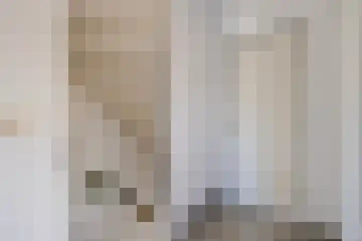 Augusta de Witstraat 5 Gemert thumbnail 23