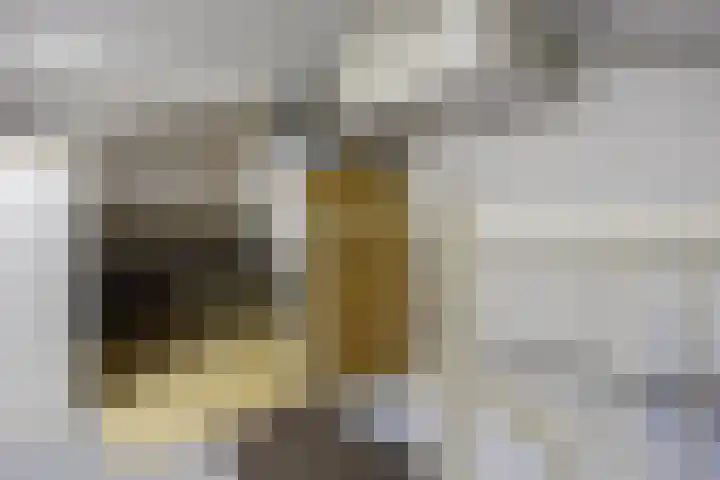 Augusta de Witstraat 5 Gemert thumbnail 31