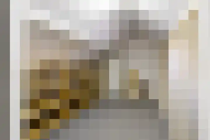 Augusta de Witstraat 5 Gemert thumbnail 32