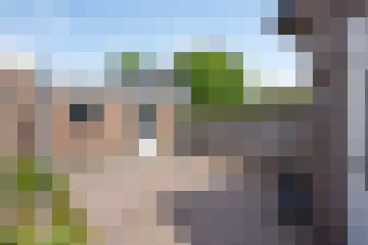 Augusta de Witstraat 5 Gemert thumbnail 33
