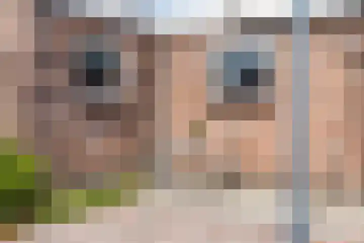 Augusta de Witstraat 5 Gemert thumbnail 35