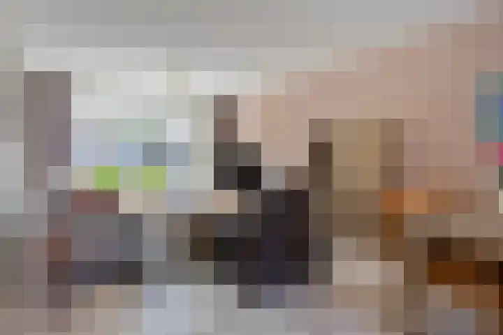 Augusta de Witstraat 5 Gemert thumbnail 9