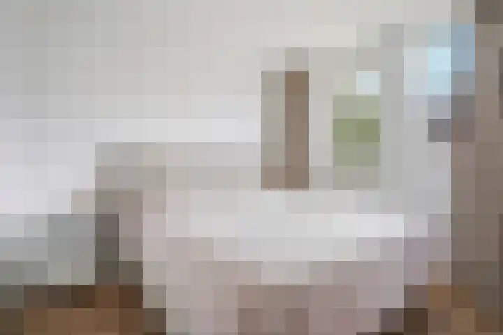 Augusta de Witstraat 5 Rotterdam thumbnail 17