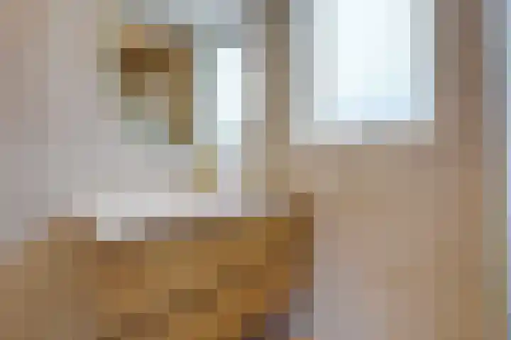 Augusta de Witstraat 5 Rotterdam thumbnail 22