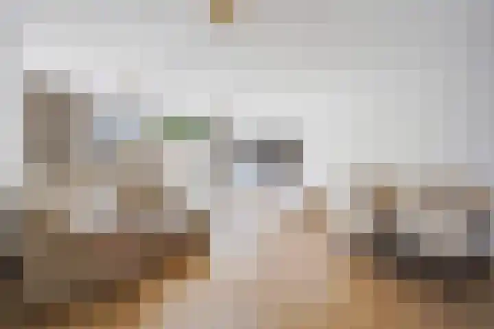 Augusta de Witstraat 5 Rotterdam thumbnail 8