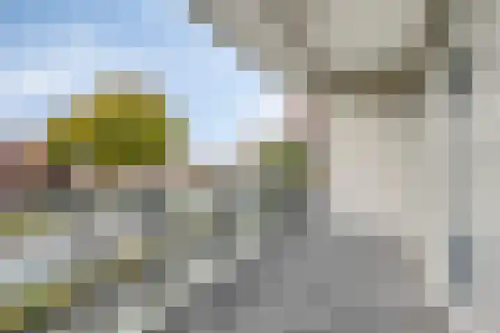 Augustalaan 172 Bergen op Zoom thumbnail 20