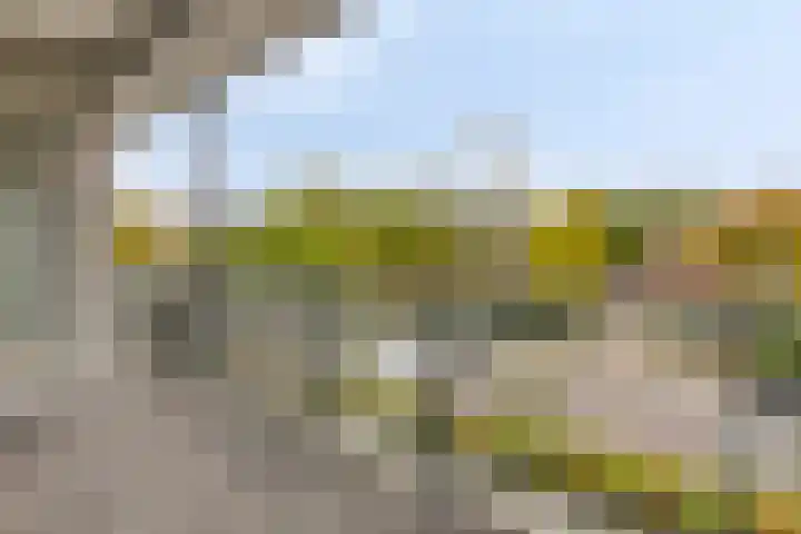 Augustalaan 172 Bergen op Zoom thumbnail 23