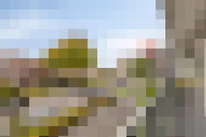 Augustalaan 172 Bergen op Zoom thumbnail 25