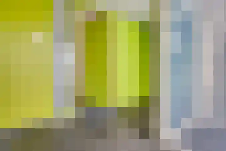 Augustalaan 172 Bergen op Zoom thumbnail 26