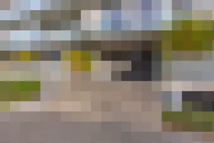 Augustalaan 172 Bergen op Zoom thumbnail 32