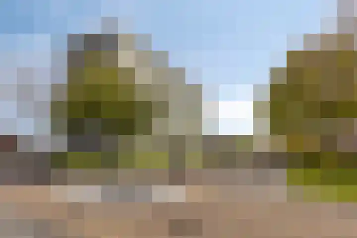 Augustalaan 172 Bergen op Zoom thumbnail 34