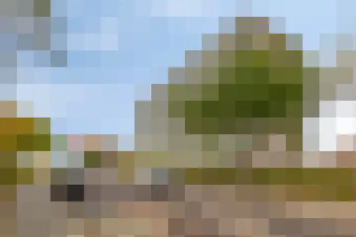 Augustalaan 172 Bergen op Zoom thumbnail 35