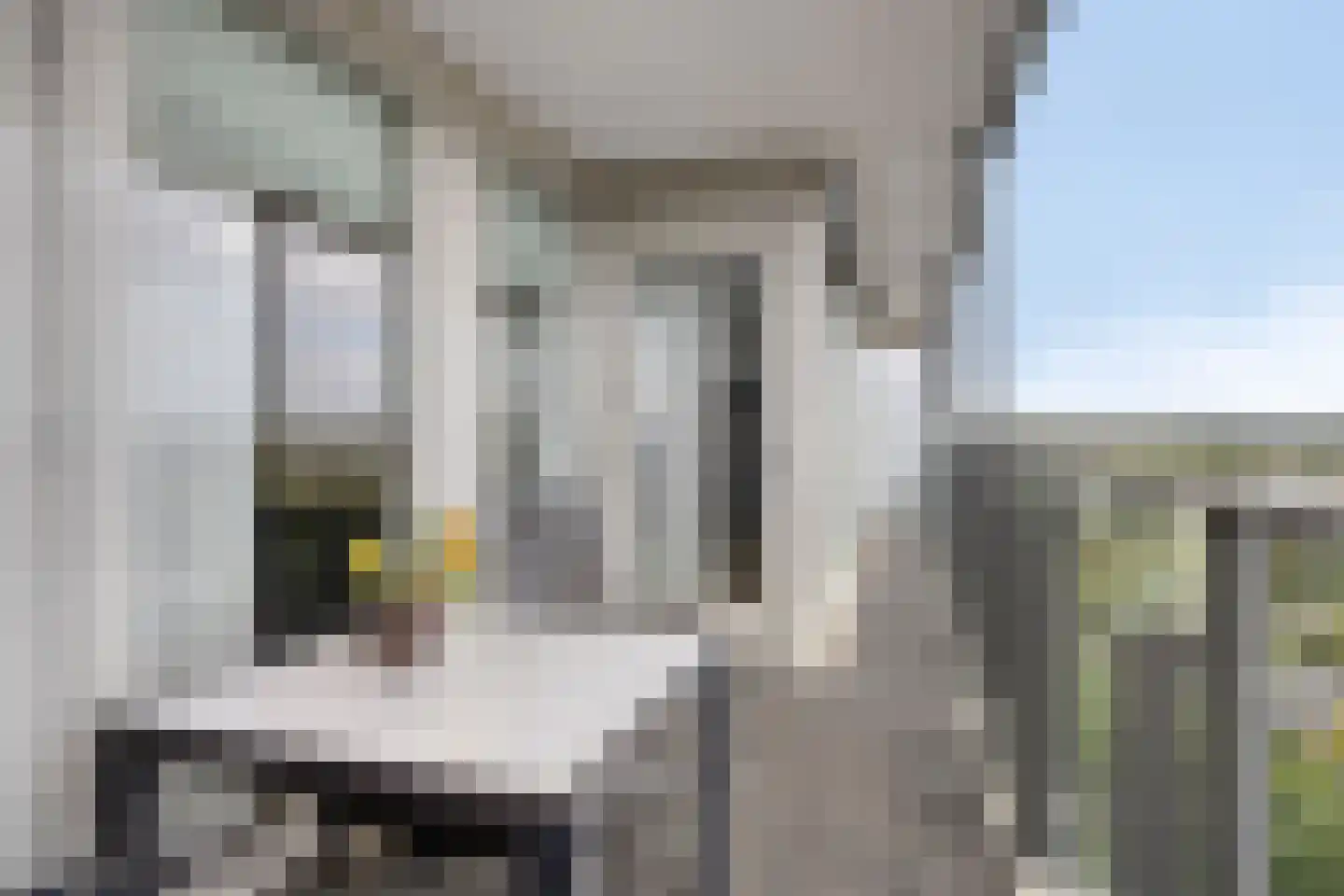 Augustalaan 222 Bergen op Zoom thumbnail 13