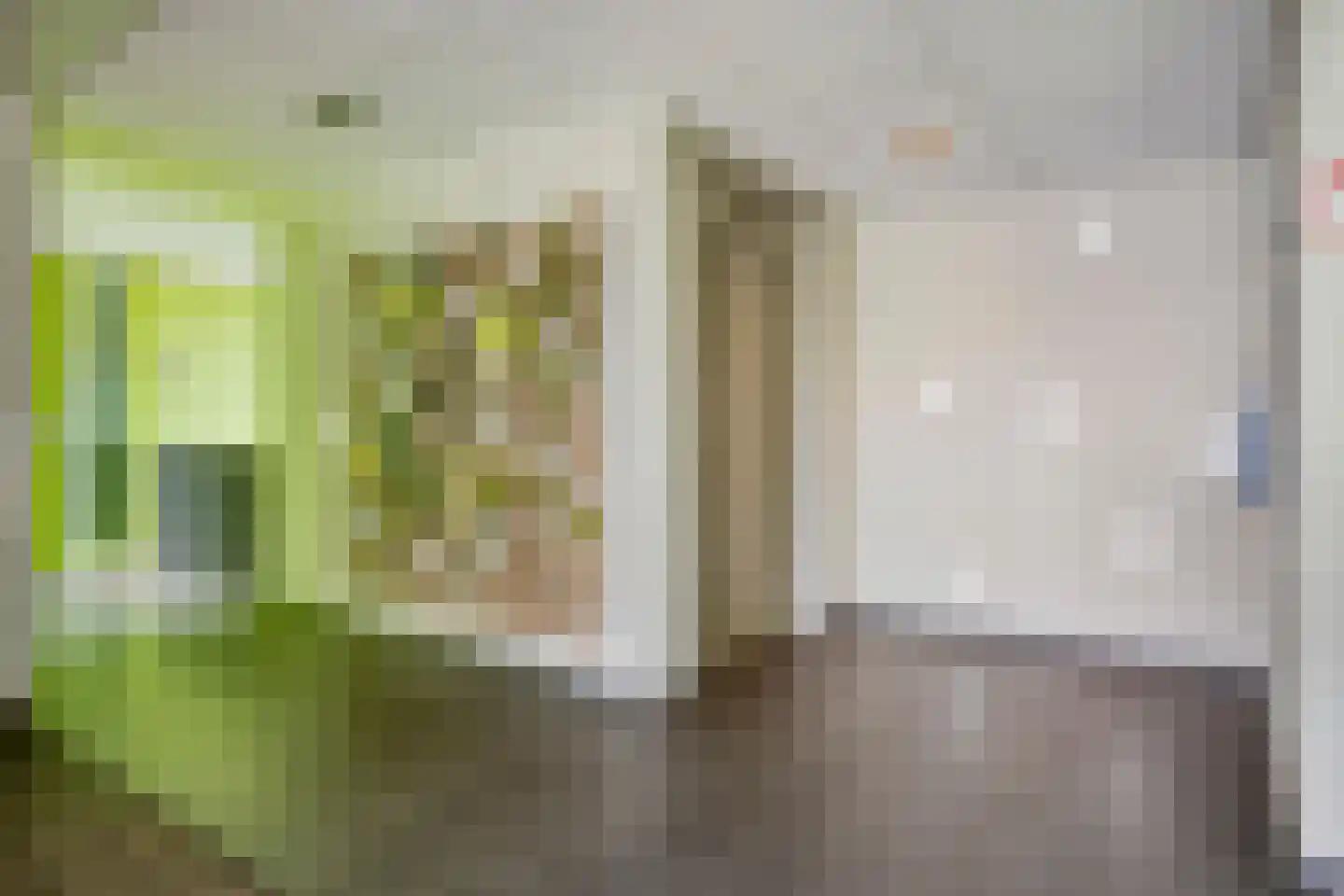 Augustalaan 222 Bergen op Zoom thumbnail 28
