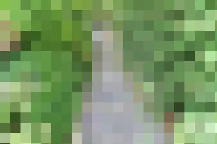 Augustalaan 23 Bergen op Zoom thumbnail 37