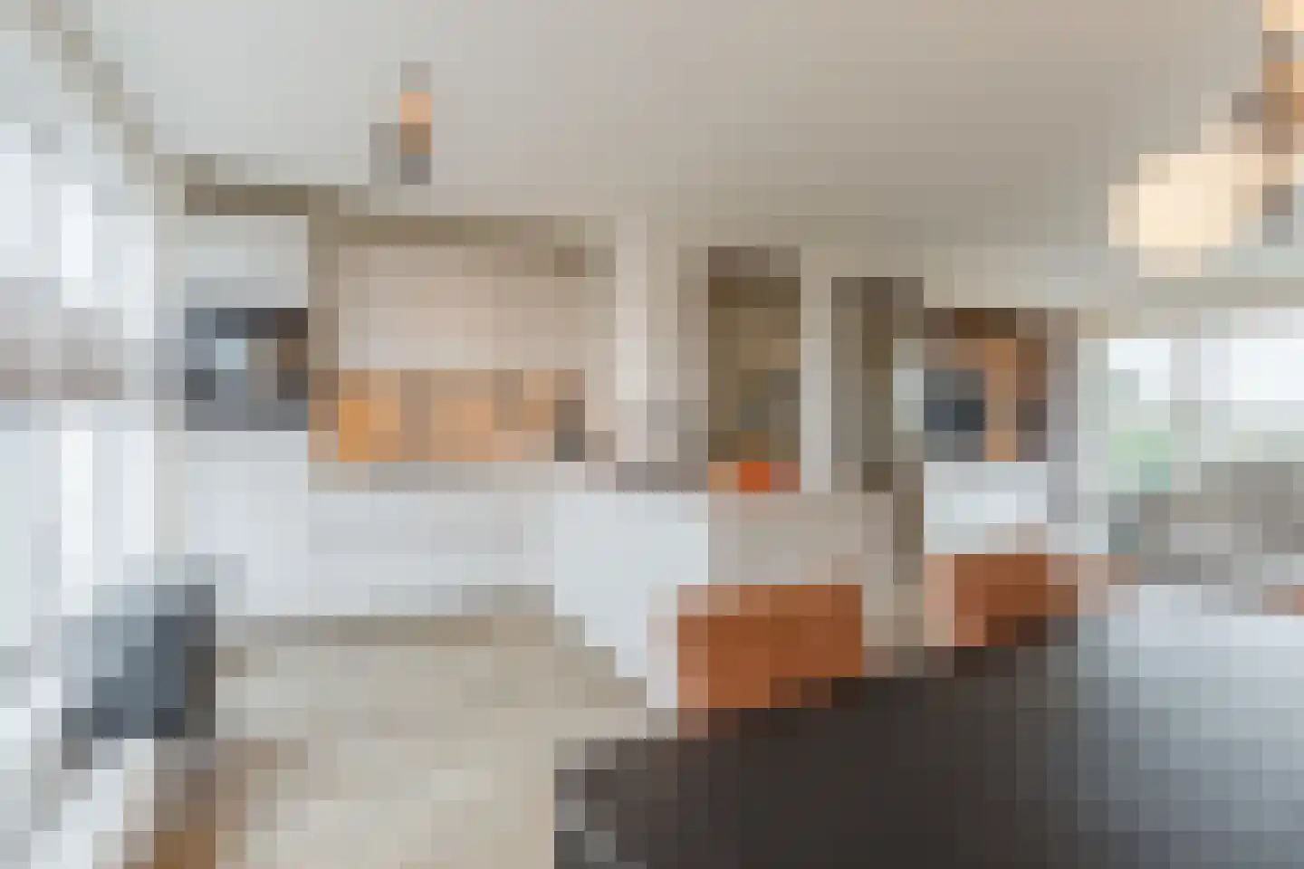 Augustalaan 30 Bergen op Zoom thumbnail 17