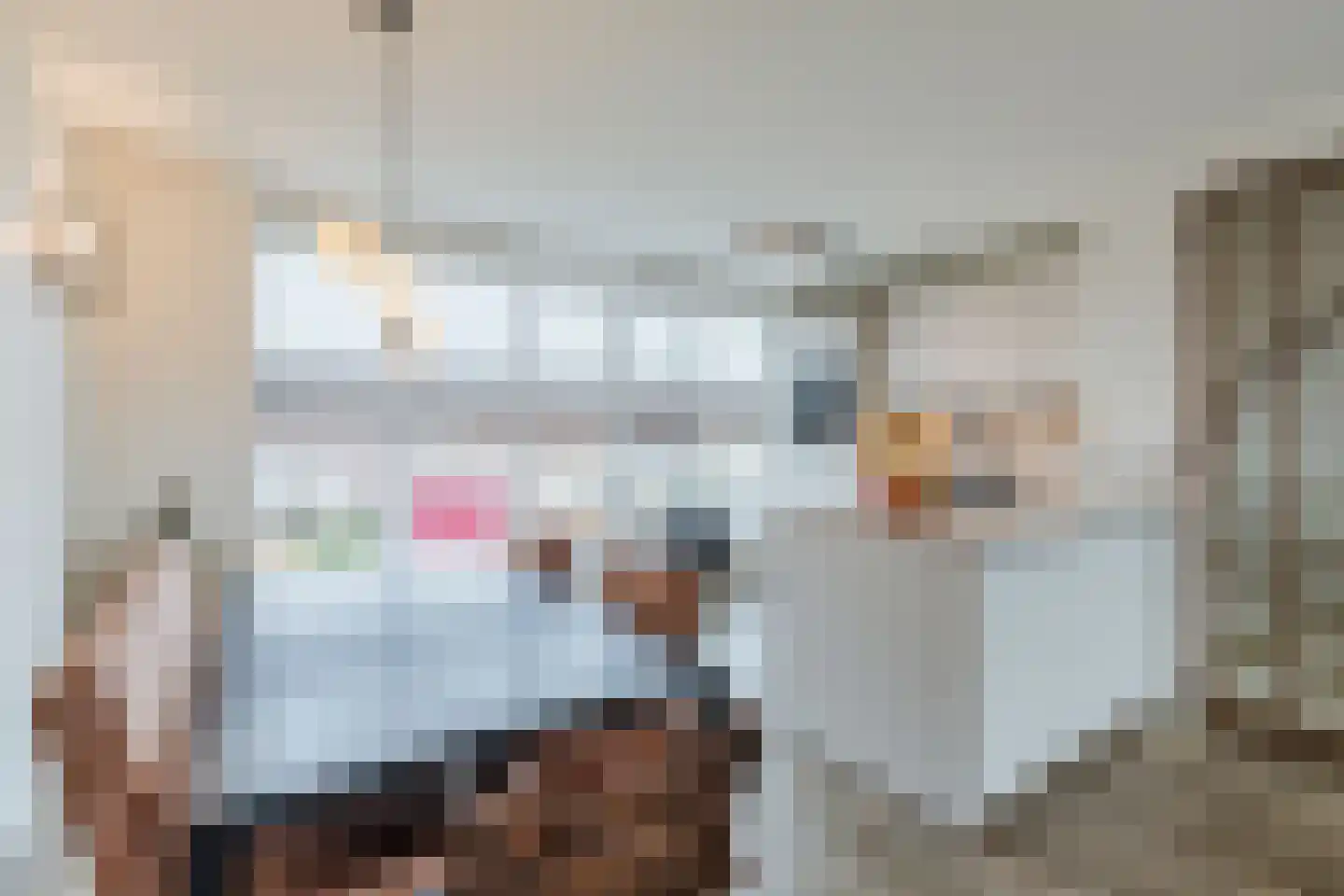 Augustalaan 30 Bergen op Zoom thumbnail 18