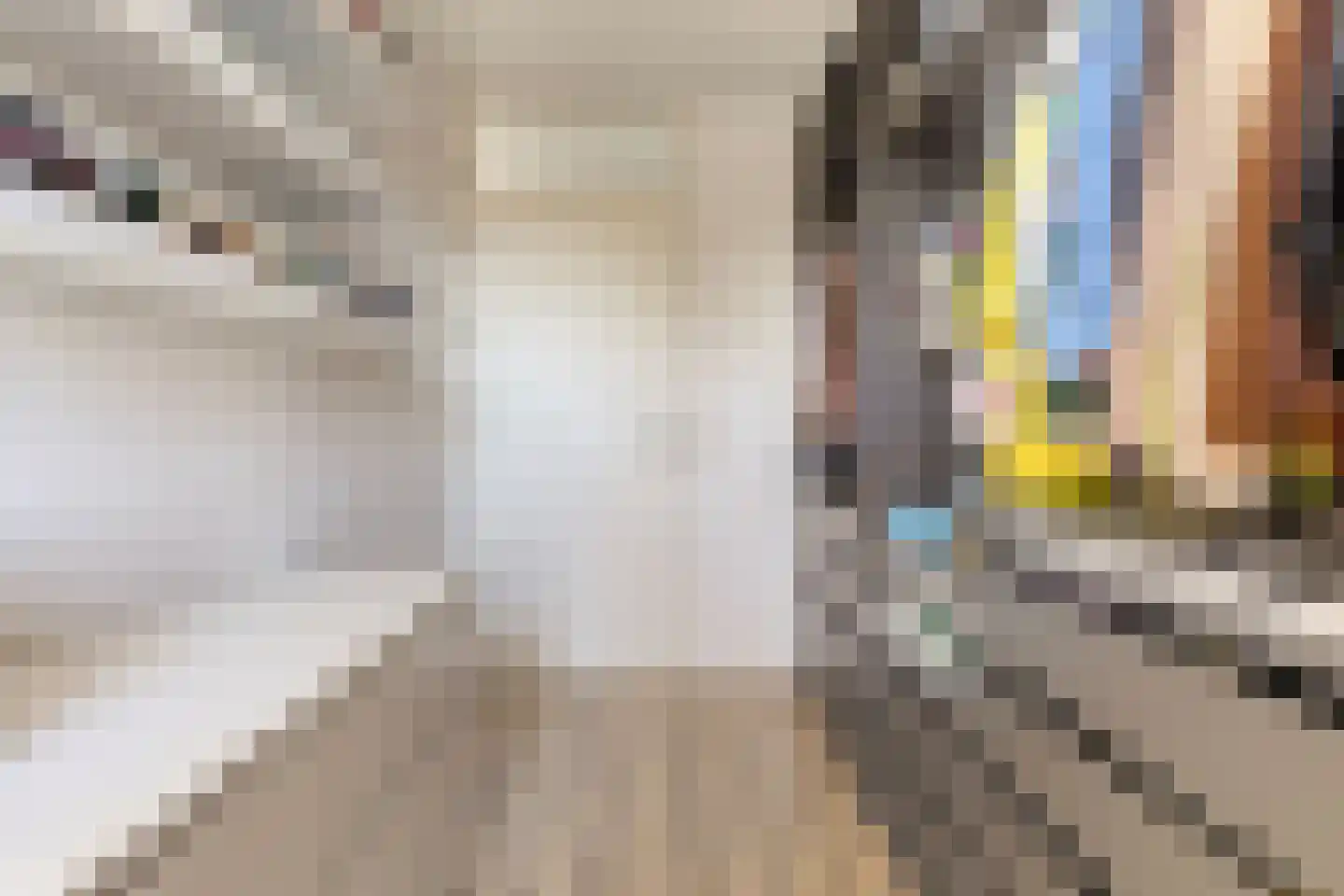 Augustalaan 30 Bergen op Zoom thumbnail 32