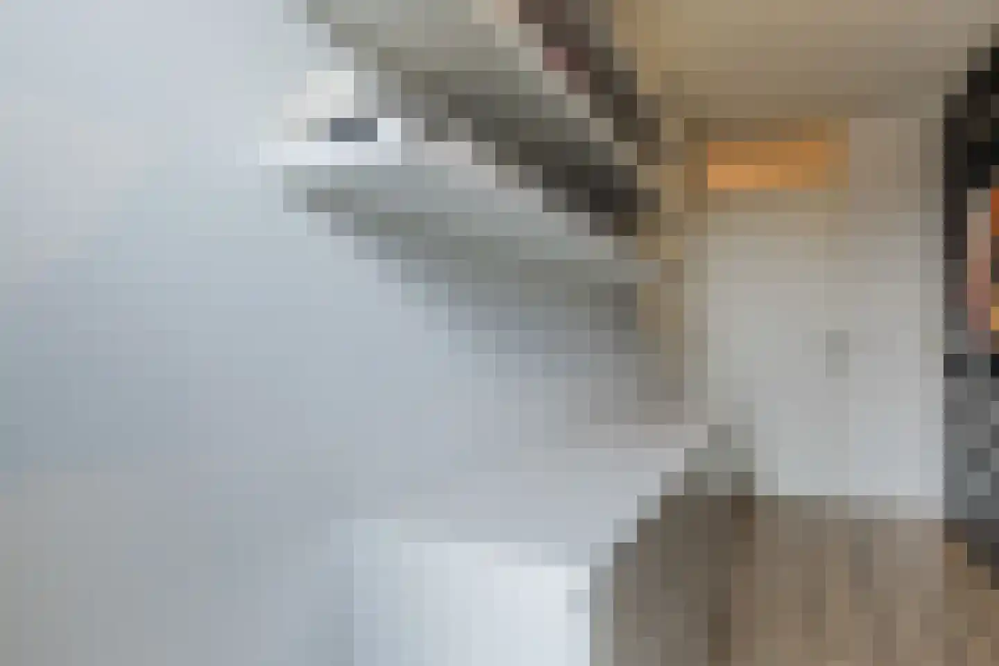 Augustalaan 30 Bergen op Zoom thumbnail 38