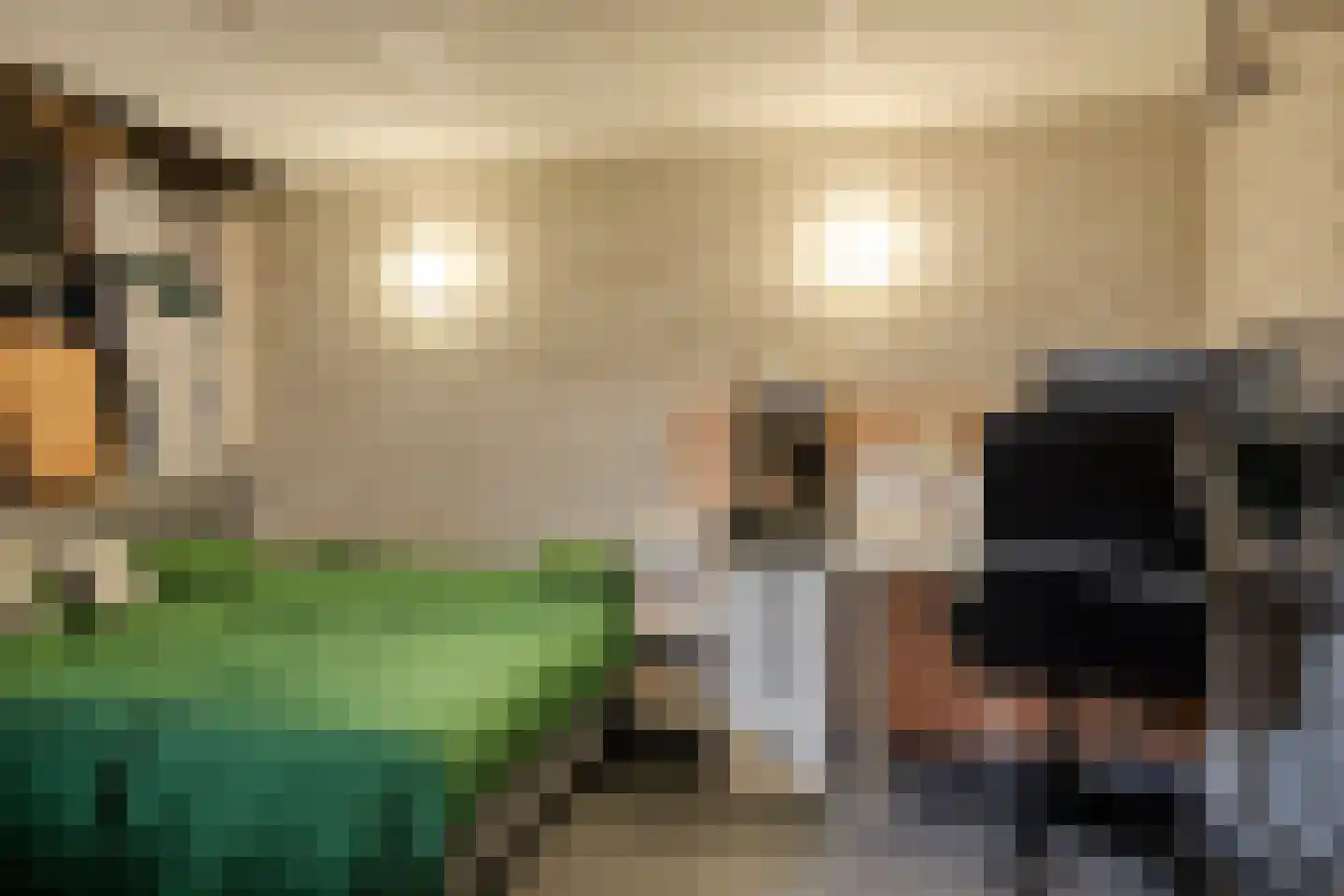 Augustalaan 33 Bergen op Zoom thumbnail 41