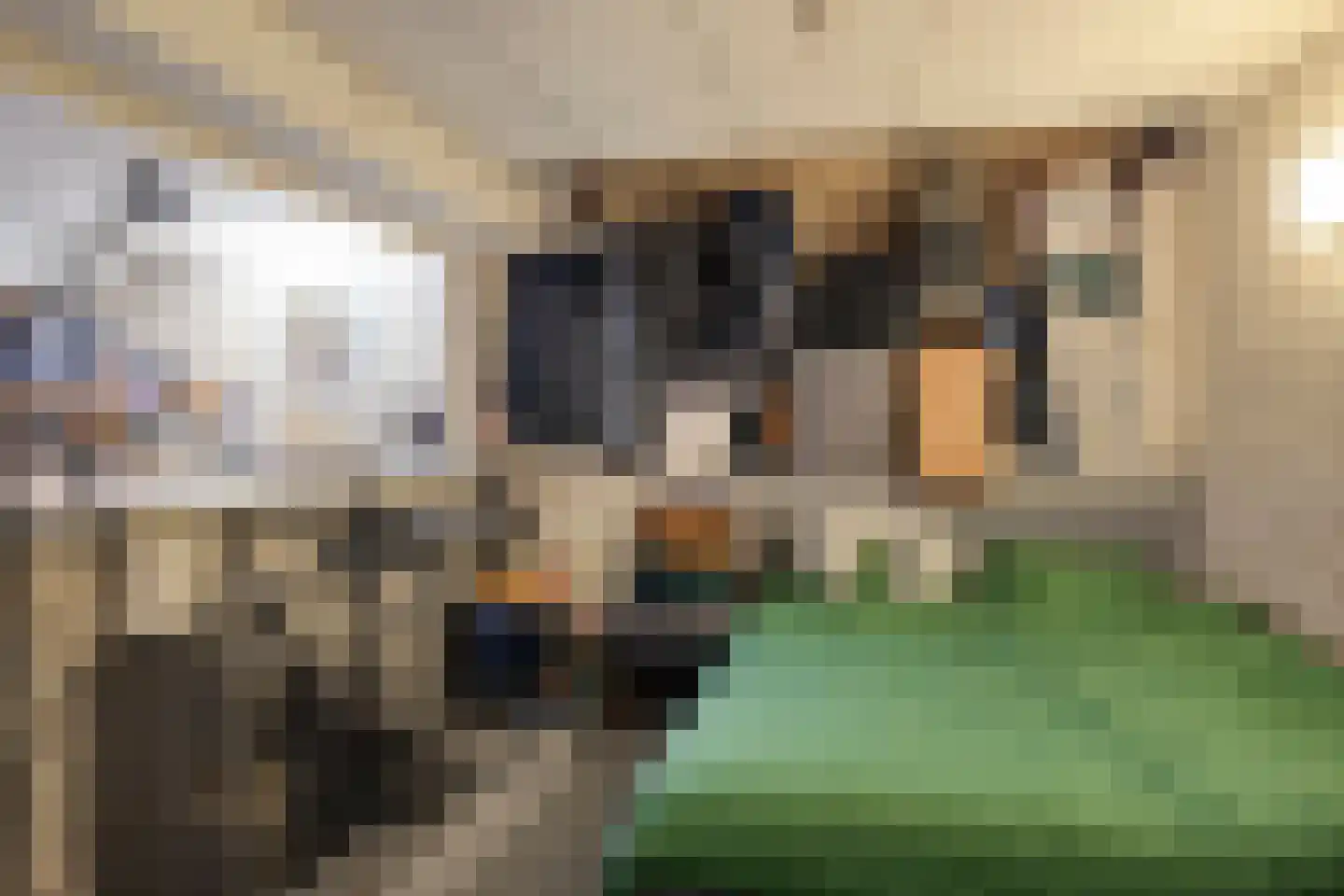 Augustalaan 33 Bergen op Zoom thumbnail 42