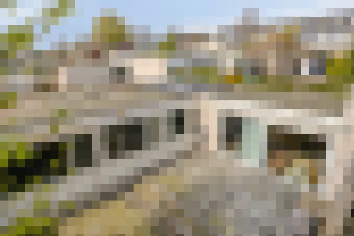 Augustalaan 33 Bergen op Zoom thumbnail 44