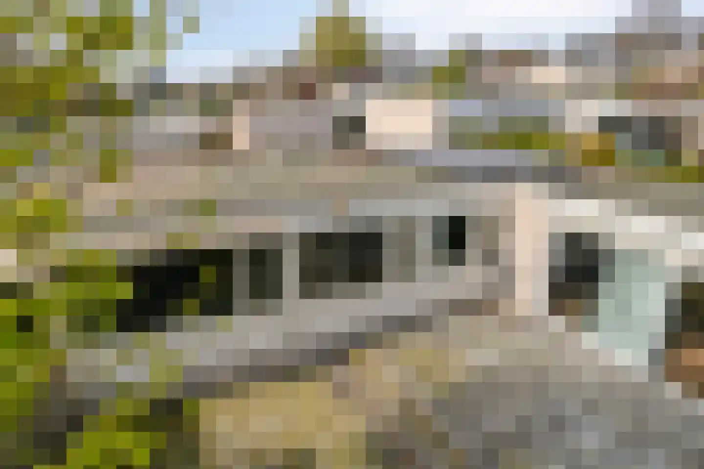 Augustalaan 33 Bergen op Zoom thumbnail 46