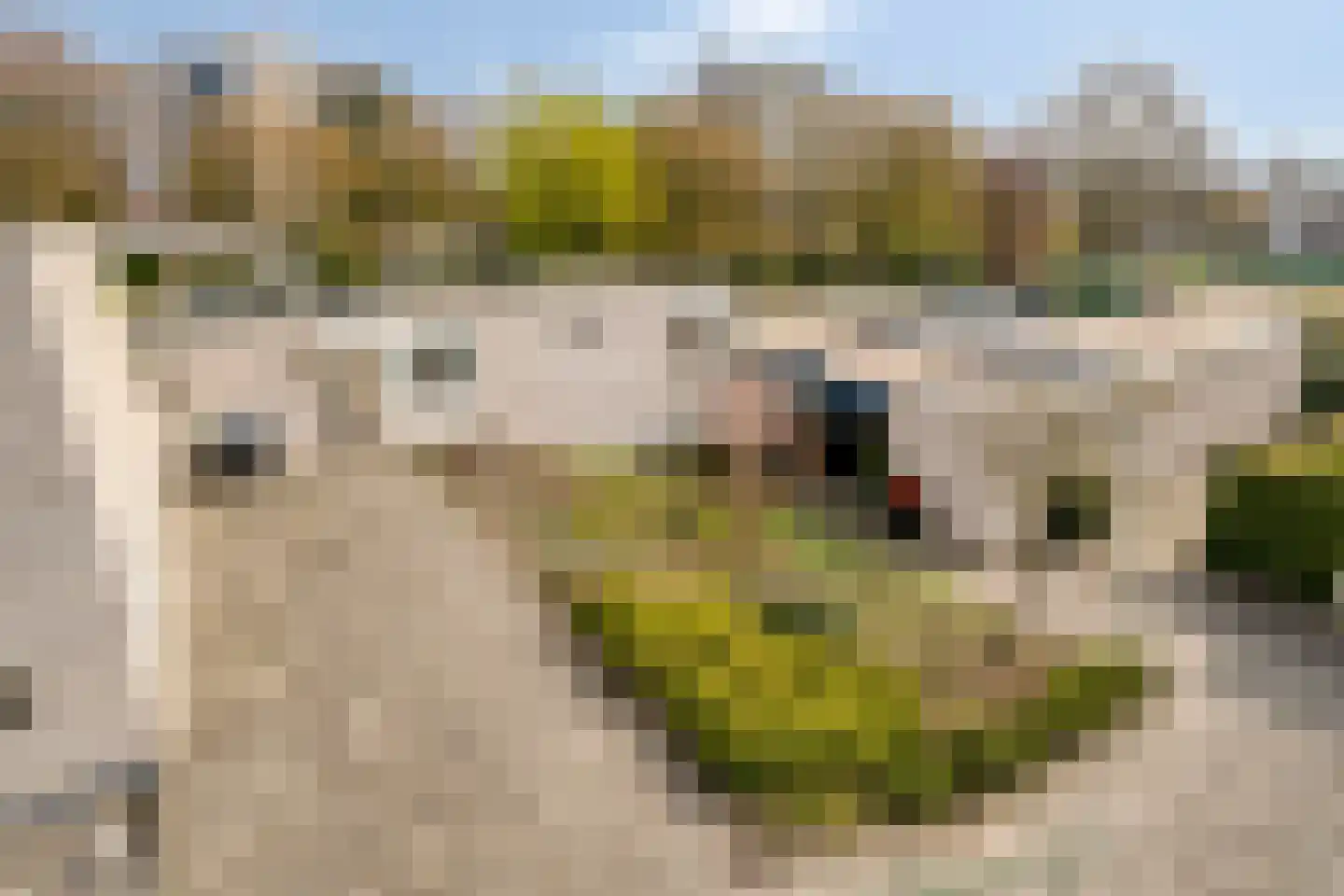 Augustalaan 33 Bergen op Zoom thumbnail 49