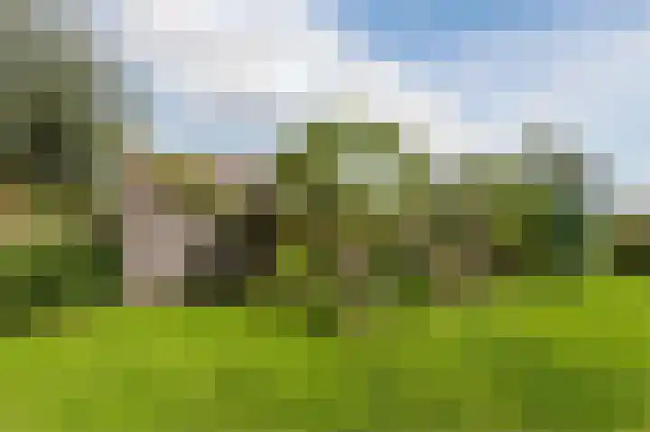 Auguste Comteweg 108 Almere thumbnail 54