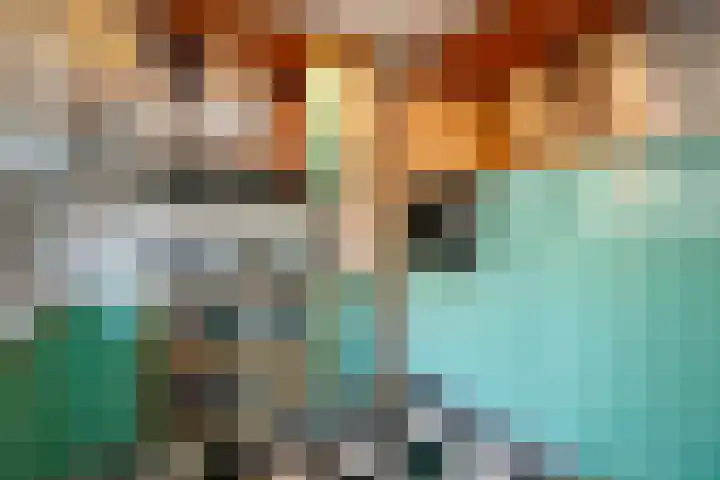 Auguste Renoirrade 6 Capelle aan den IJssel thumbnail 11