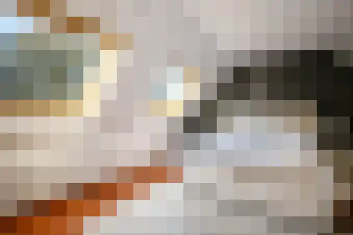Auguste Renoirrade 6 Capelle aan den IJssel thumbnail 17