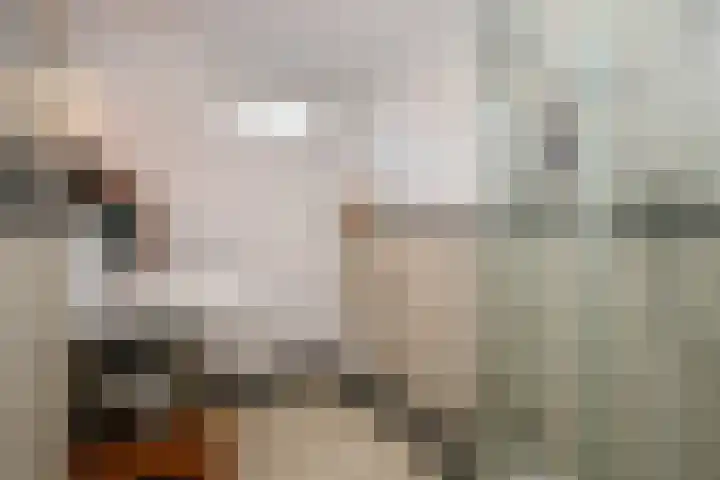 Auguste Renoirrade 6 Capelle aan den IJssel thumbnail 20