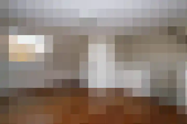 Auguste Renoirrade 6 Capelle aan den IJssel thumbnail 24