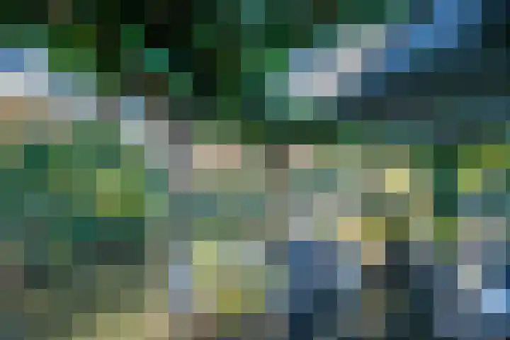 Auguste Renoirrade 6 Capelle aan den IJssel thumbnail 31