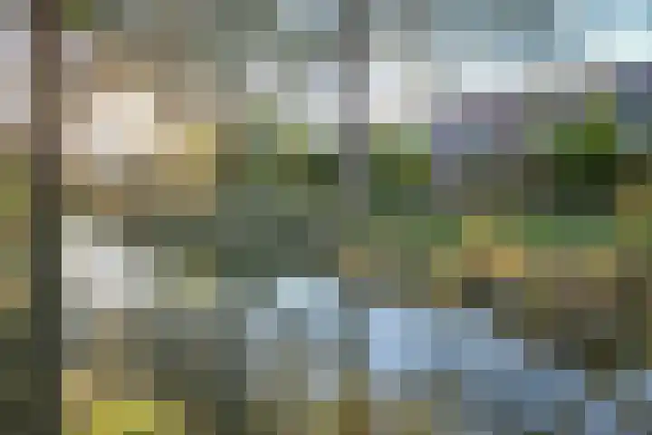 Auguste Renoirrade 6 Capelle aan den IJssel thumbnail 32