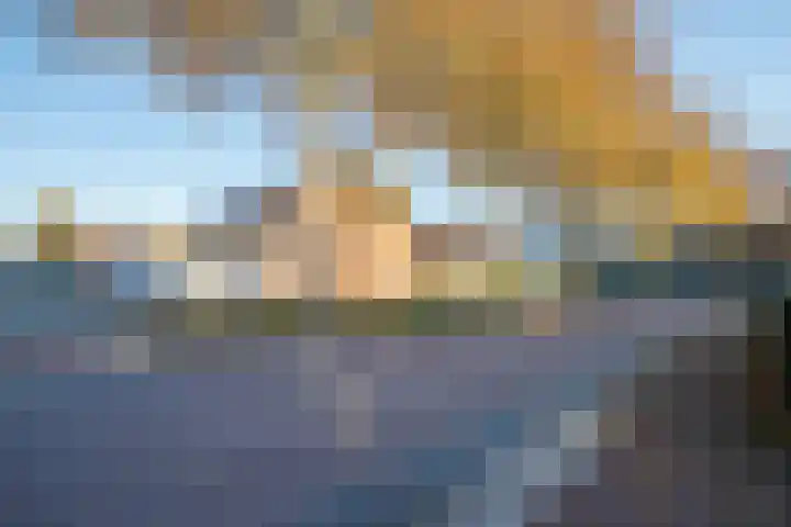 Auguste Renoirrade 6 Capelle aan den IJssel thumbnail 41