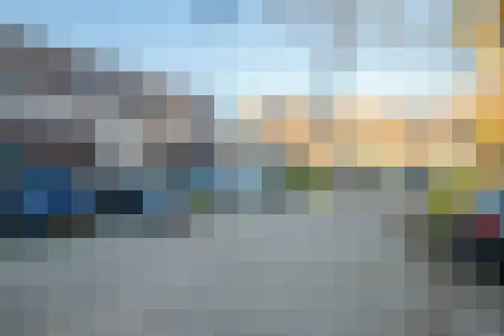 Auguste Renoirrade 6 Capelle aan den IJssel thumbnail 45