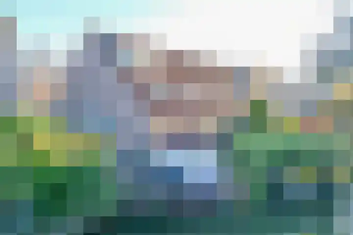 Auguste Renoirrade 6 Capelle aan den IJssel thumbnail 47