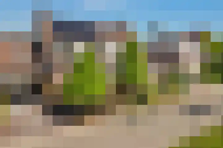 Augustijnenhove 17 in Leusden