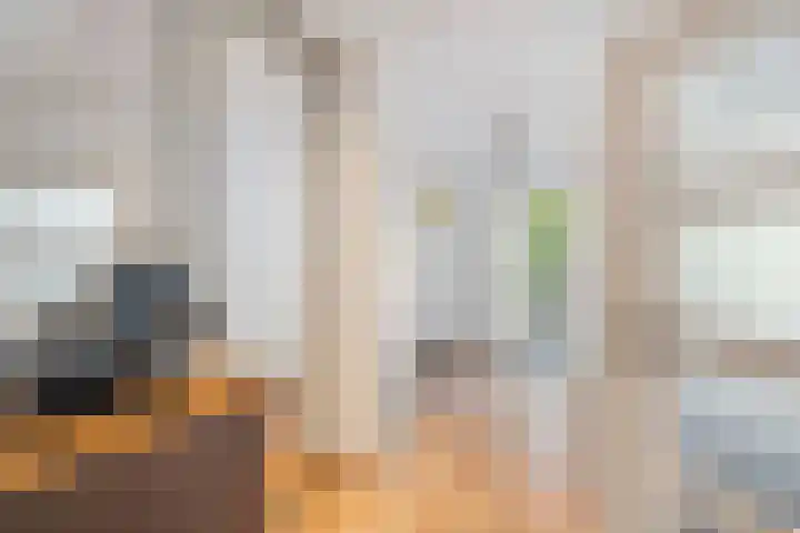 Augustijnenhove 17 Leusden thumbnail 12