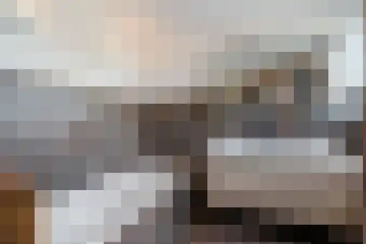 Augustijnenhove 17 Leusden thumbnail 22
