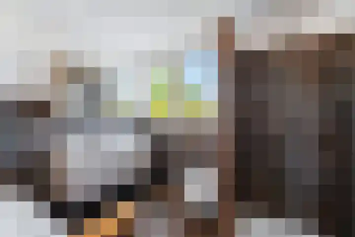 Augustijnenhove 17 Leusden thumbnail 23
