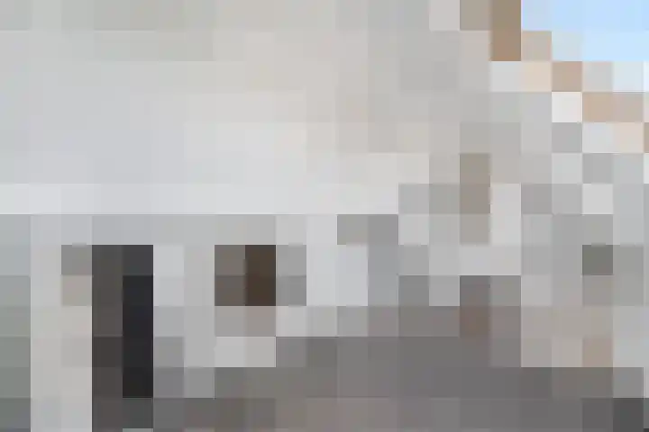 Augustijnenhove 17 Leusden thumbnail 26
