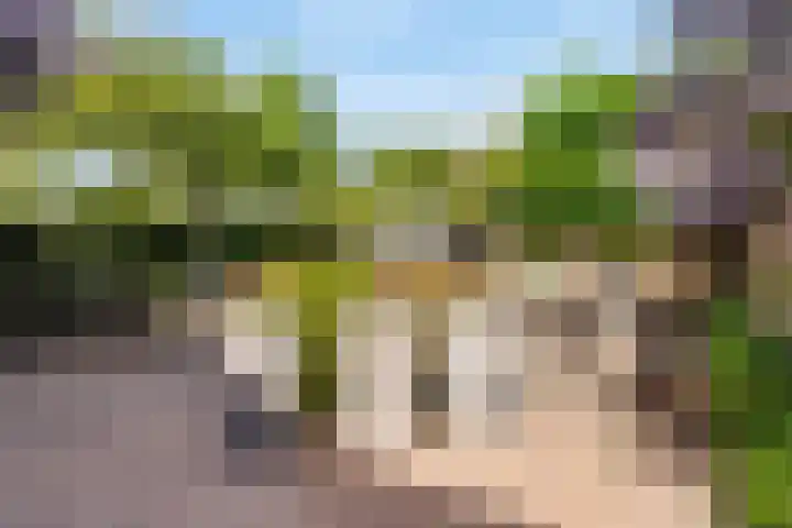 Augustijnenhove 17 Leusden thumbnail 27