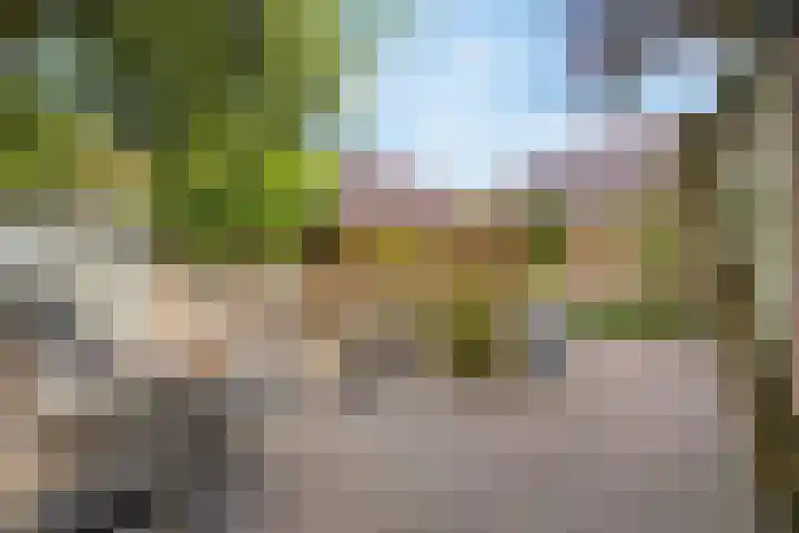 Augustijnenhove 17 Leusden thumbnail 28
