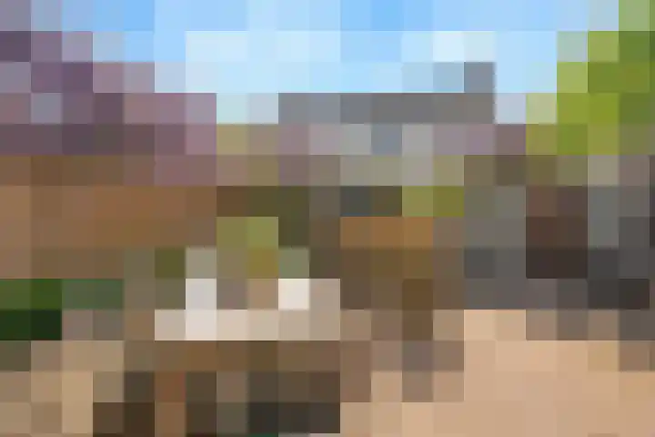 Augustijnenhove 17 Leusden thumbnail 29