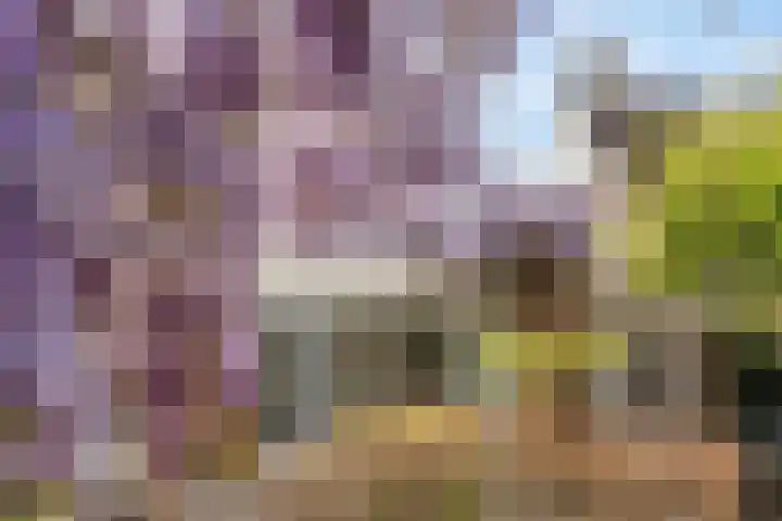 Augustijnenhove 17 Leusden thumbnail 30