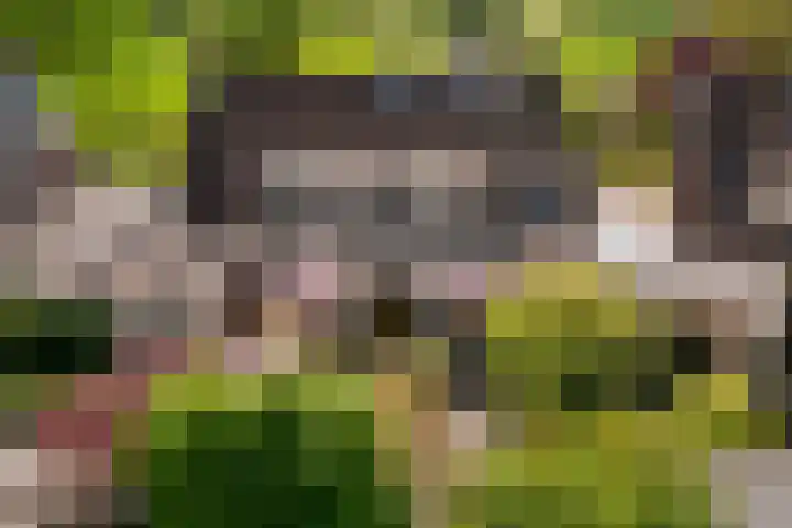 Augustijnenhove 17 Leusden thumbnail 31