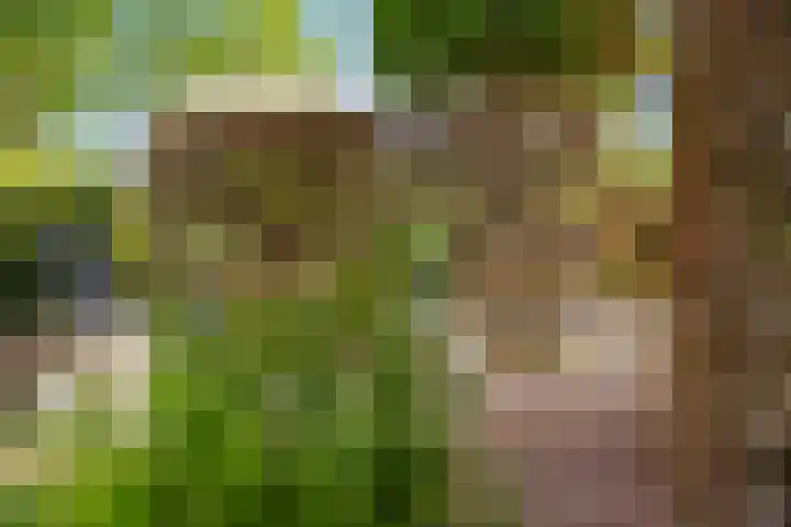 Augustijnenhove 17 Leusden thumbnail 33